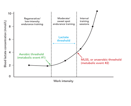 Cardio Training personal Leuven